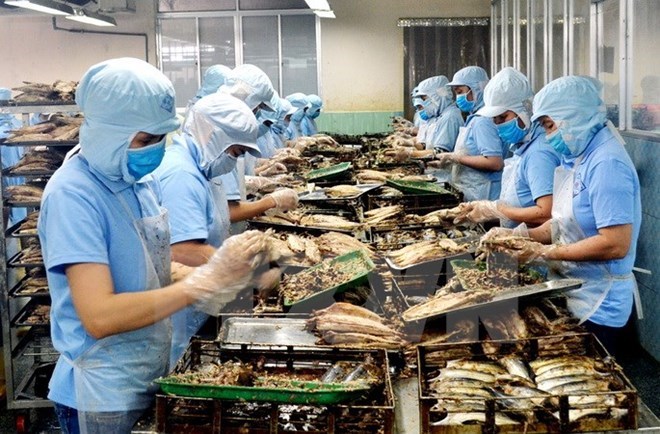 附圖：2018年前兩月越南水產(chǎn)品出口額同比增長(cháng)近30%。（圖片來(lái)源：越通社）